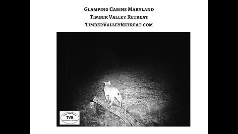 Timber Valley Retreat Glamping Maryland