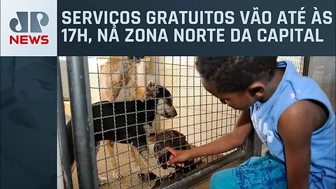 SP: Prefeitura realiza ações para cuidados de cães e gatos