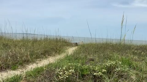 Dauphin Island in Alabama