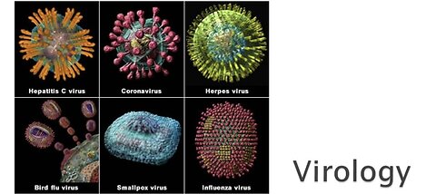 The Fallacies of Virology and the Inversion of Natural Health