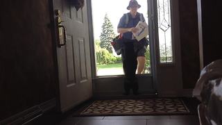 A Guardian Cat VS Mail Man and The Glass Door