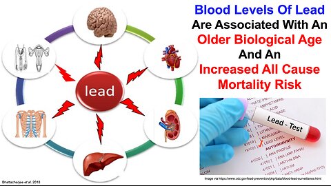 Lead Is Associated With An Older Biological Age And An Increased Mortality Risk