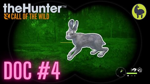 The Hunter: Call of the Wild, Doc #4