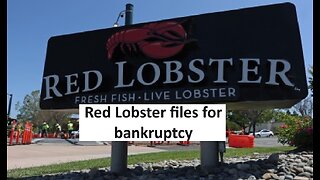 Reb Lobster files for bankruptcy