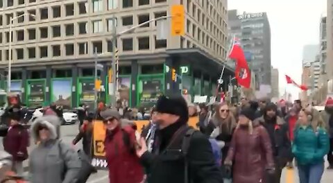 Toronto, Canada - Antivaccine Protest