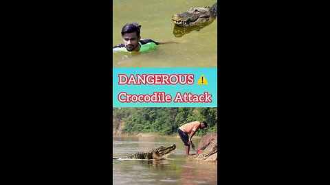 Crocodile Attack Video| Animal Attack Video