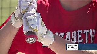 Elizabeth HS baseball holds onto hope of saving lost season