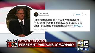 Donald Trump pardons Joe Arpaio