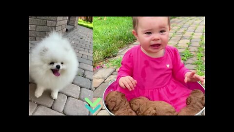 Funniest Pets Animals video l😸😹❤️ Funniest Cats, Dogs And Other Animals moments #short
