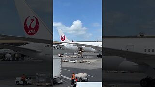 Japan Airlines 787-9