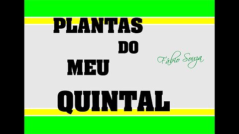 PLANTAS DO MEU QUINTAL