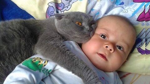 MOST Crazy Cats Annoying Babies🐸😻