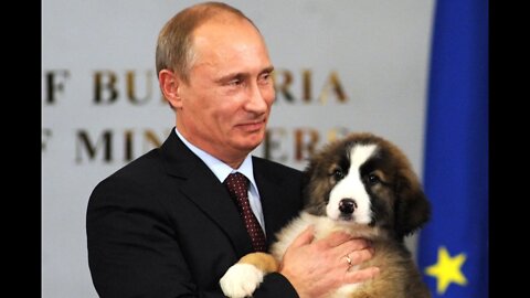 Putin for the love of dogs Stop the WAR Now 27/02/2022 Live Camera from #Ukraine #Kyiv Chat TTS