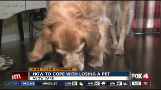 How to cope with losing a pet