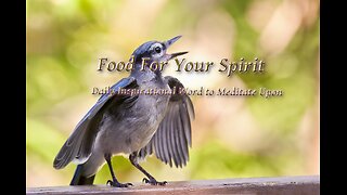 Food for Your Spirit Ruth 3:4