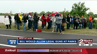 Bill would allow legal guns at parks