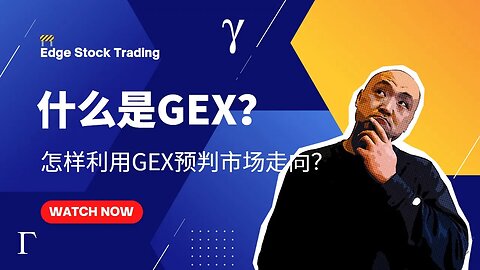 🚧如何利用GEX预判市场方向 ？|什么是GEX？| 利用GEX日交易| 怎样使用Tradytics的GEX | Tradytics教学