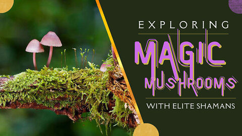 From Mushrooms to Magical Psilocybin