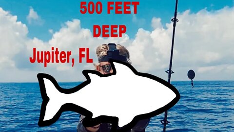 Deep sea fishing in Jupiter, FL (500 FT)