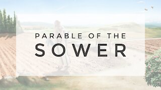 8.19.20 Wednesday Lesson - THE PARABLE OF THE SOWER