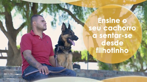 Ensine o seu cachorro a sentar-se desde filhotinho.