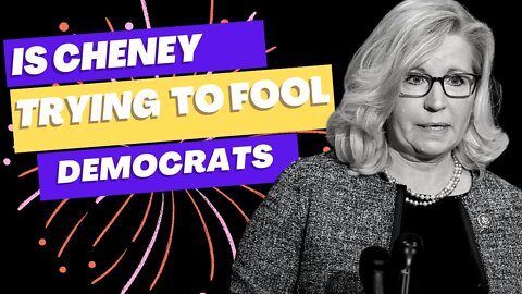 Liz Cheney Has Fooled Democratic Party Base