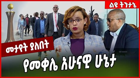 የመቀሌ አሁናዊ ሁኔታ... Getachew Reda | Selamawit Kassa | Tigray #Ethionews#zena#Ethiopia