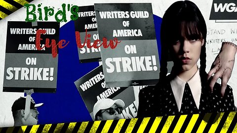 🟢 Writers self own themselves with stupid Jenna Ortega signs and slogans - Birds Eye View