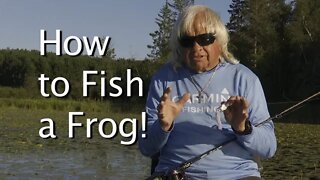 Frog Bite! How to Fish the Frog