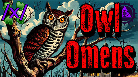 Owl Omens | 4chan /x/ Supernatural Greentext Stories Thread