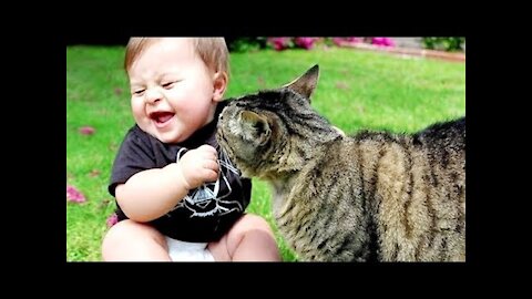 Funny Cats And Babies Playing Together ★ Animals Trolling Babies 2021