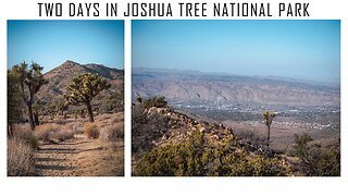 A Couple Days Hiking & Photographing Joshua Tree National Park | Lumix G9 Photography