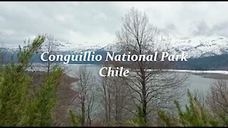 Conguillio National Park in Chile