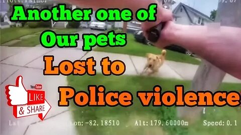 Cops get another harmless dog off the streets