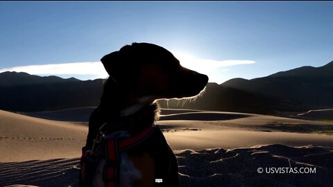 Jaxie at Great Sand Dunes, CO [2019-10-02]