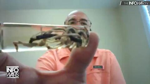 MORTICIAN SHOWS TENTACLE LIKE FIBROUS BLOCKAGES THAT WERE GROWING IN PEOPLE PREVIOUSLY VAXXED