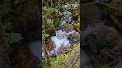 upabove Begbie Falls Recreational site #explore #adventure #fyp #britishcolumbia #canada #livinglife