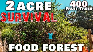 2 Acre SURVIVAL Food Forest 2023! • Prepping For Hard Times!