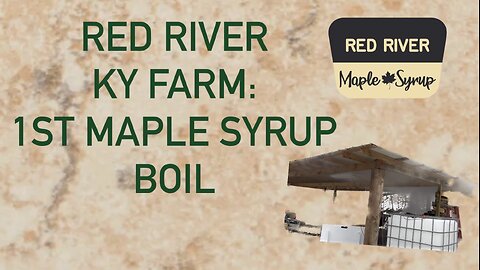 2024 First Maple Syrup Boil | Red River Maple Syrup | Red River Gorge, KY