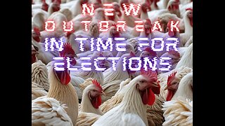New Outbreak! Just in time for Election Season! Feathered Fallout: Bird Flu Insights