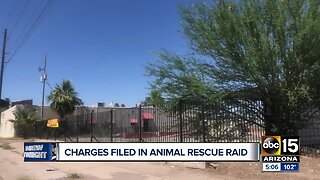 Charges filed in Phoenix animal rescue raid