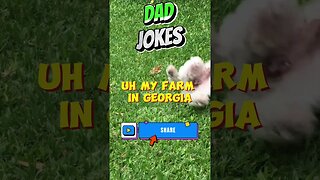 Funny Dad Jokes USA Edition # 465 #lol #funny #funnyvideo #jokes #joke #humor #usa #fun #comedy