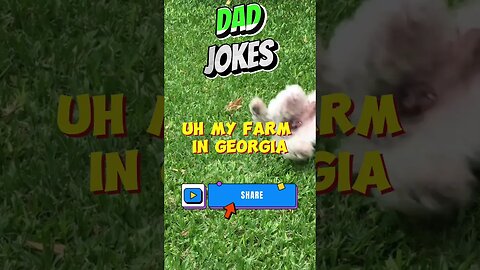 Funny Dad Jokes USA Edition # 465 #lol #funny #funnyvideo #jokes #joke #humor #usa #fun #comedy