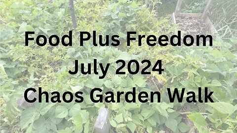 July 2024 Chaos Garden Walk