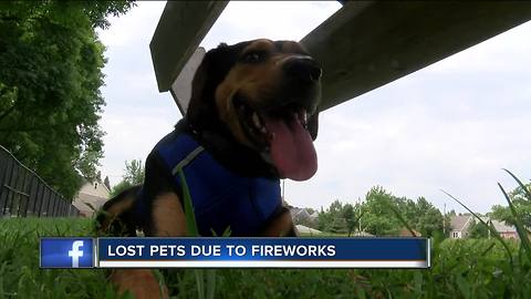 Fourth of July fireworks cause pets to run away