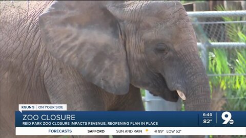 Reid Park Zoo asking Tucsonans for help after loss of $1 million in revenue