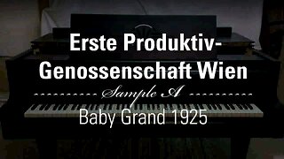 PRODUCTIV-GENOSSENSCHAFT - Baby Grand 1925 - Sample A