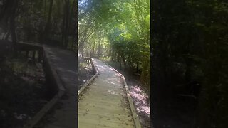 Elevated Path at East End Park in Kingwood, Texas Located on the Banks of Lake Houston