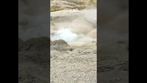 Live Active Hot springs, Geysers, Mud-pots, and Fumaroles at Yellowstone National Park.