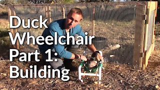 Building a Duck Wheelchair - Part 1: Building